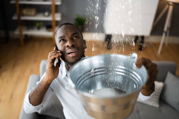 Best Professional water damage repair  in Peaceful Valley, WA