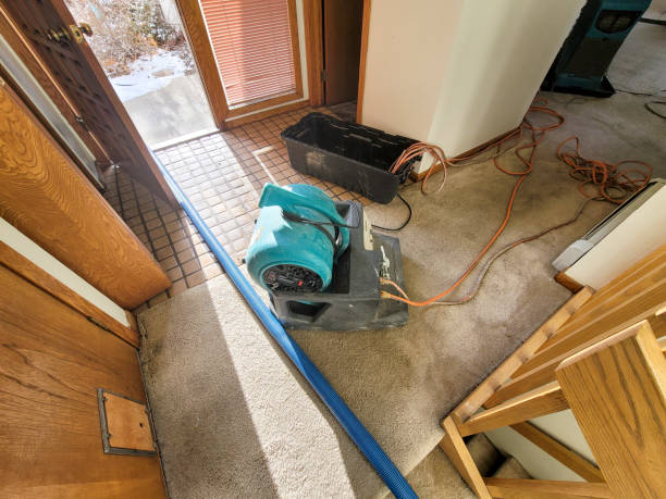 Best Mold removal after water damage  in Peaceful Valley, WA