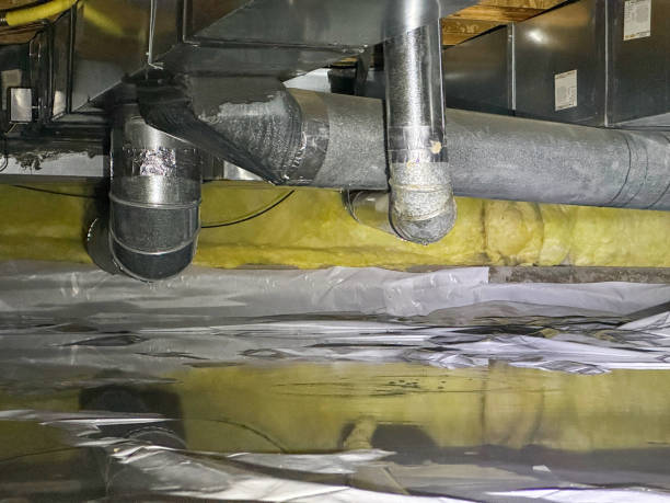 Best Basement water damage restoration  in Peaceful Valley, WA