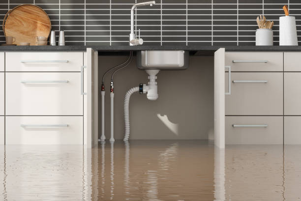 Best Water damage restoration near me  in Peaceful Valley, WA