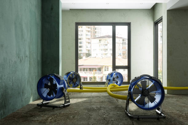Best Water damage restoration process  in Peaceful Valley, WA